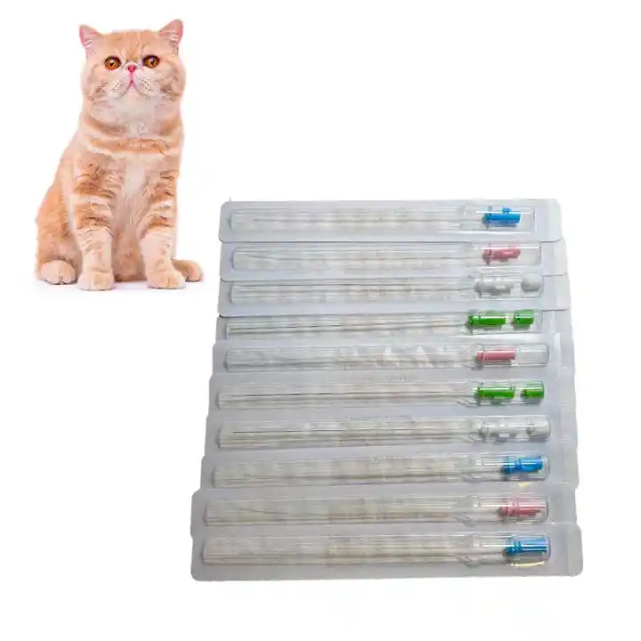 Medical High Quality Disposable Cat Catheter Pet Catheter With Stylet And Without Stylet