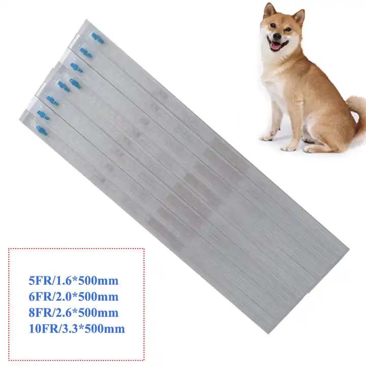Disposable medical pvc dog urinary catheter animal Catheter PET catheter Veterinary Catheter
