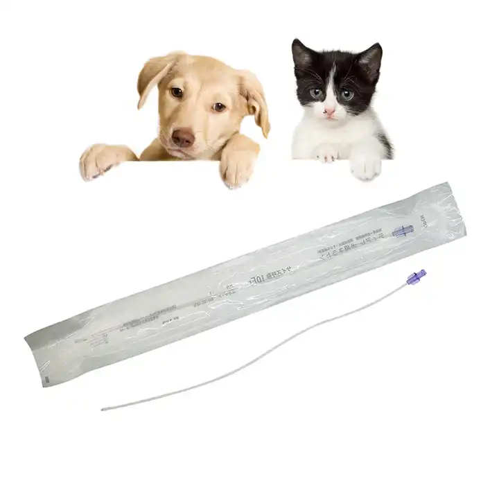 animal urinary catheter feline veterinary urine catheters PVC pet dog cat veterinary urethral catheter with luer lock